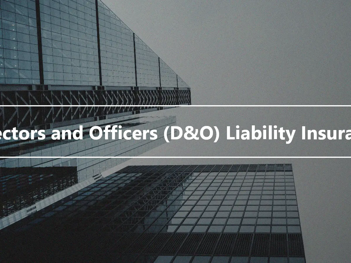 Directors and Officers (D&O) Liability Insurance