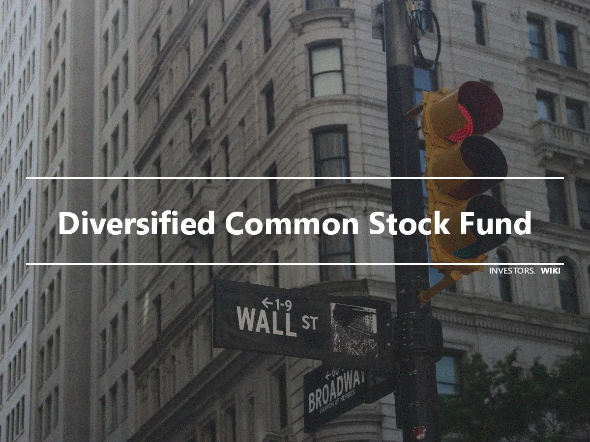 Diversified Common Stock Fund