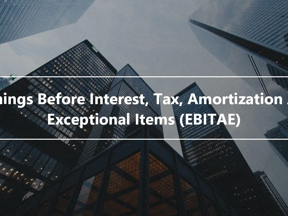 Earnings Before Interest, Tax, Amortization And Exceptional Items (EBITAE)