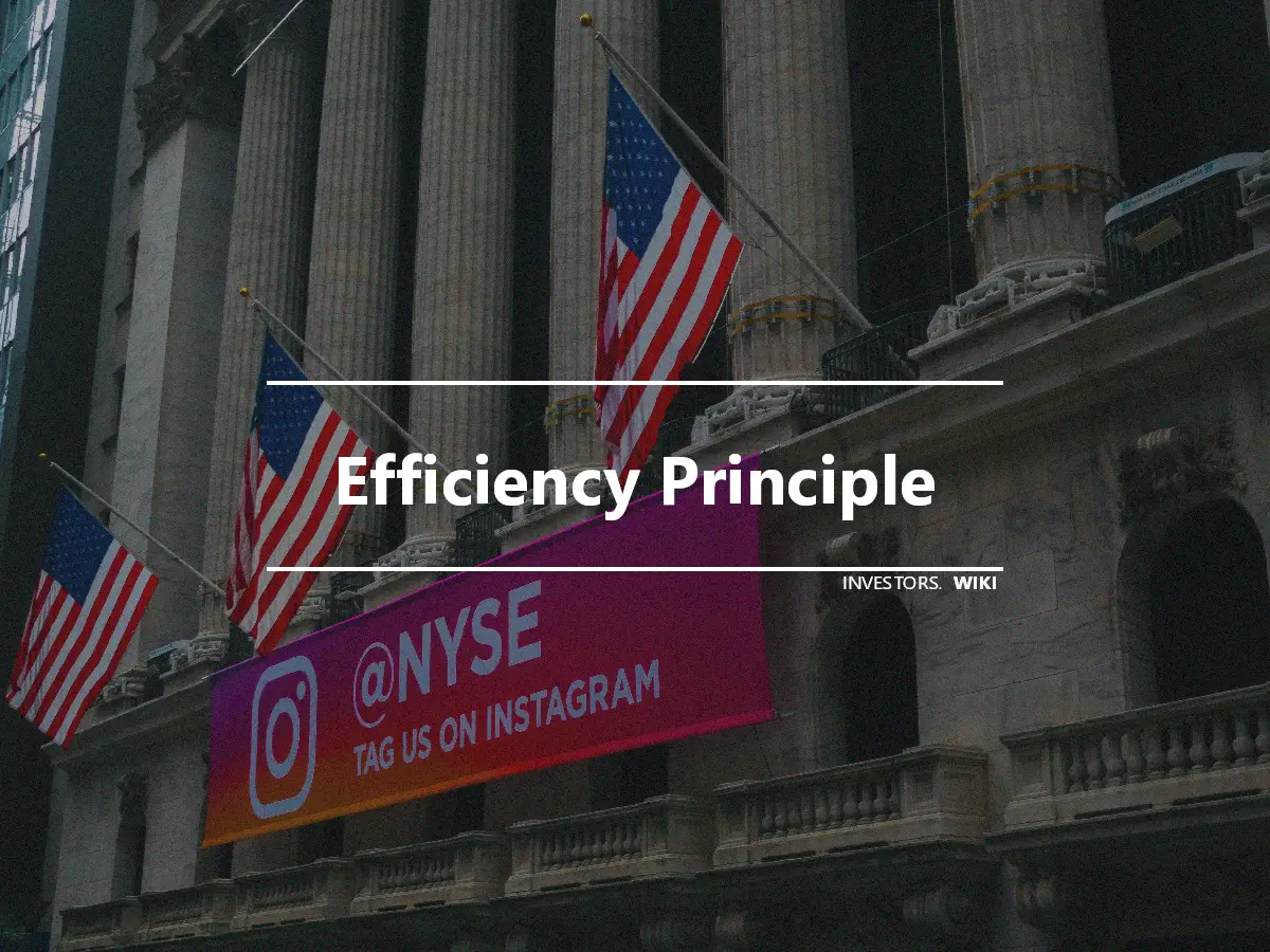 Efficiency Principle