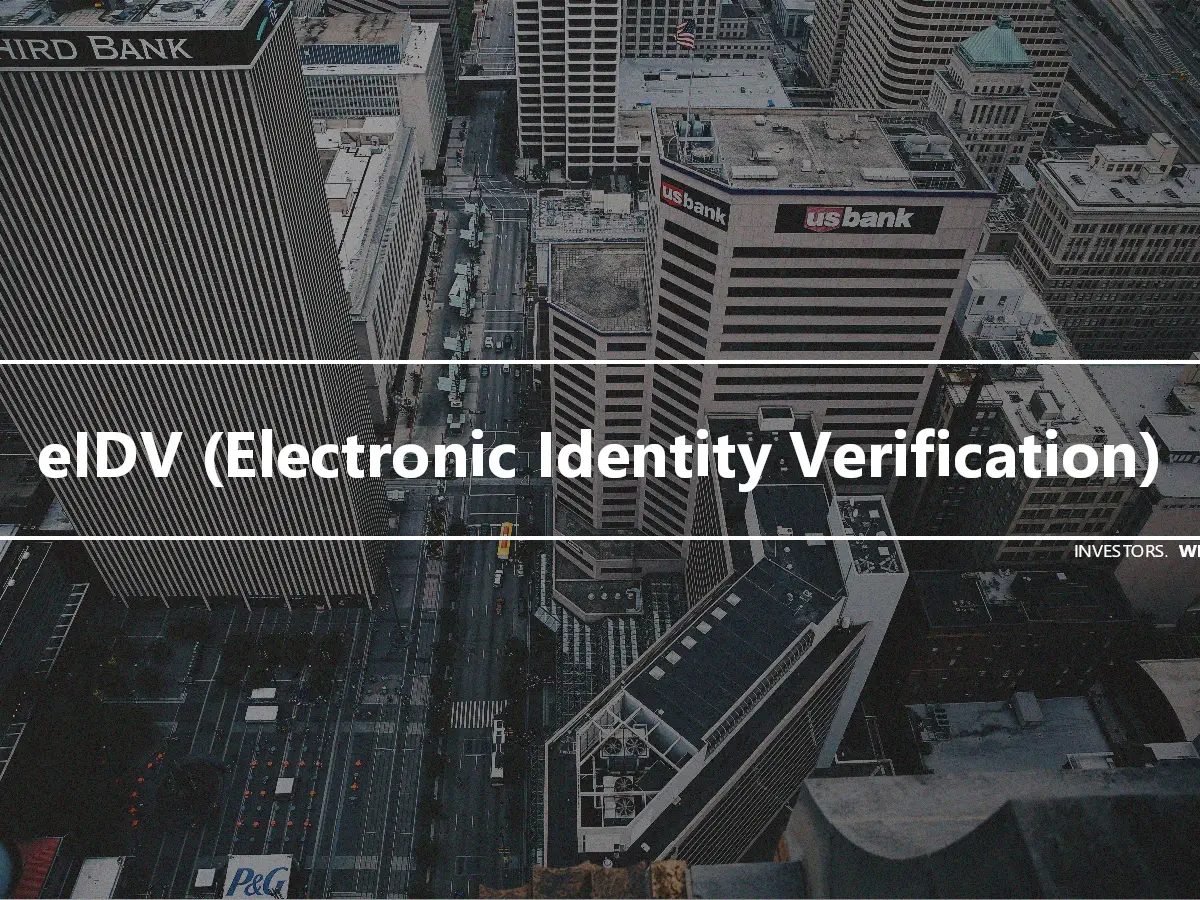 eIDV (Electronic Identity Verification)