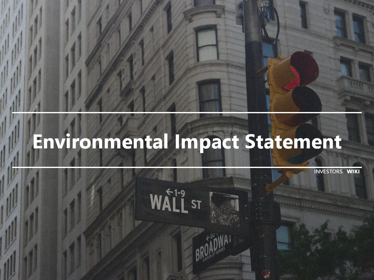 Environmental Impact Statement