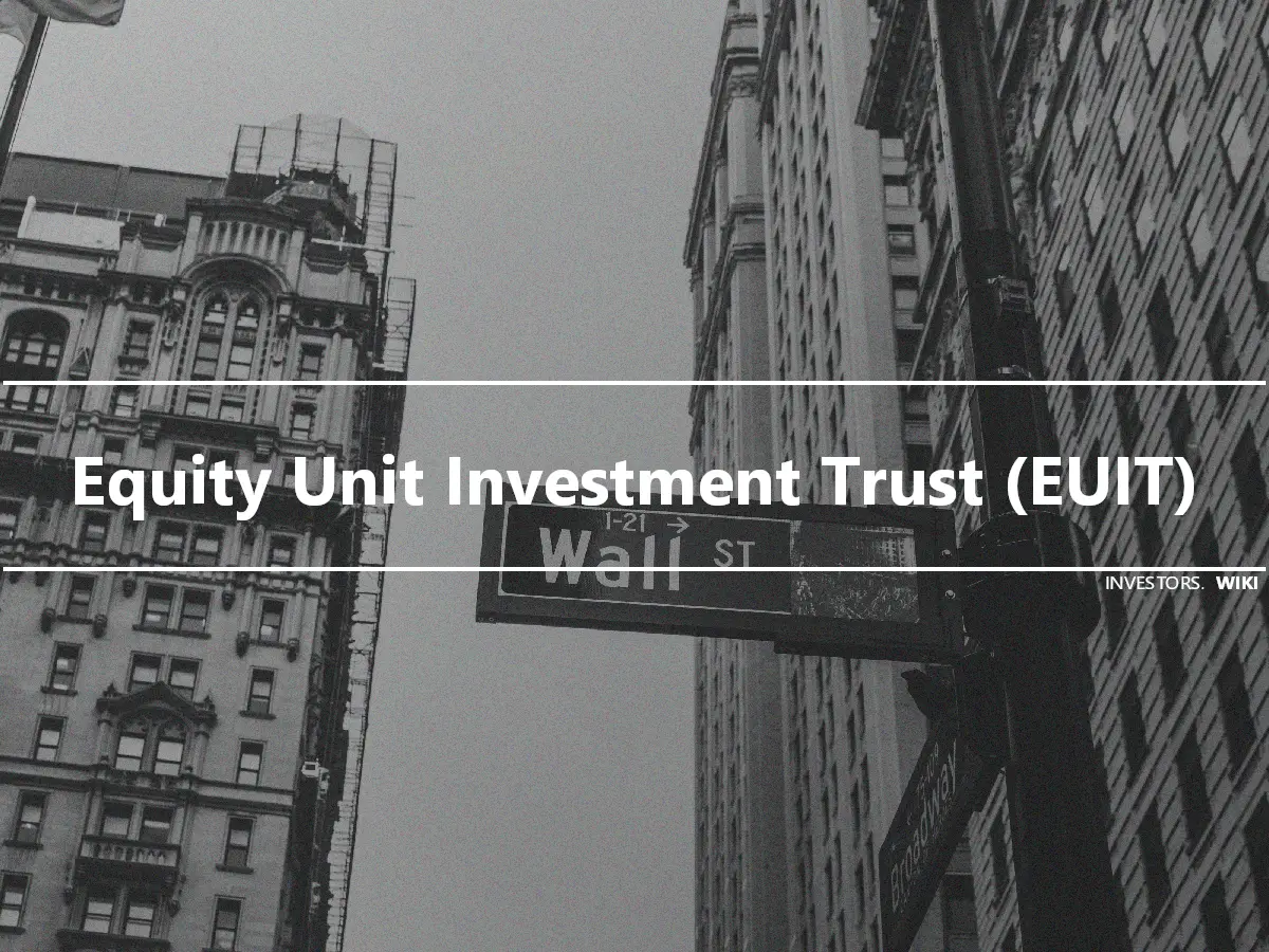 Equity Unit Investment Trust (EUIT)