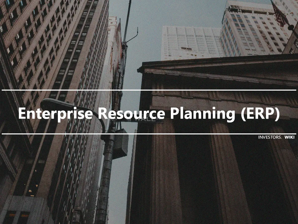 Enterprise Resource Planning (ERP)