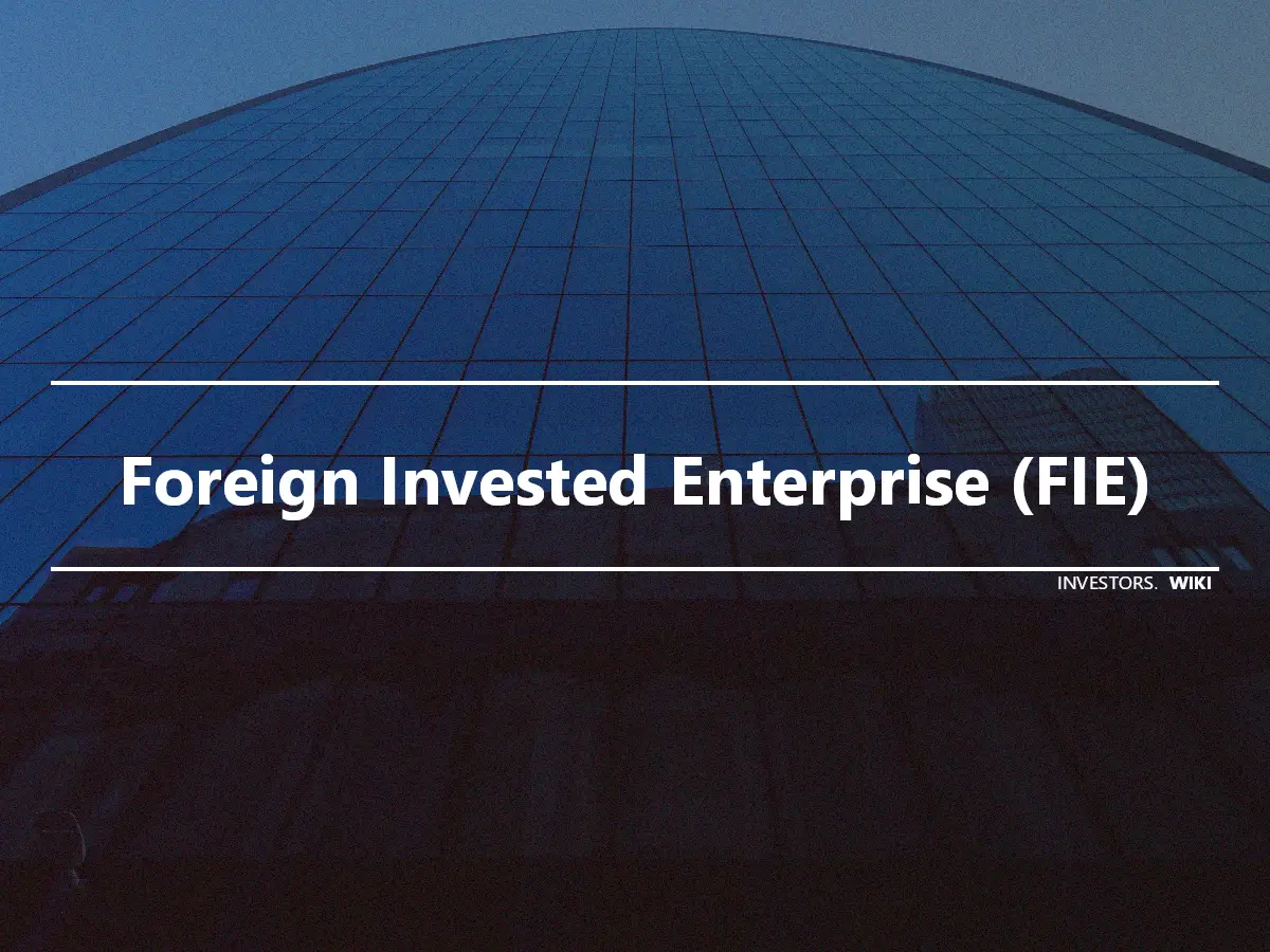 Foreign Invested Enterprise (FIE)