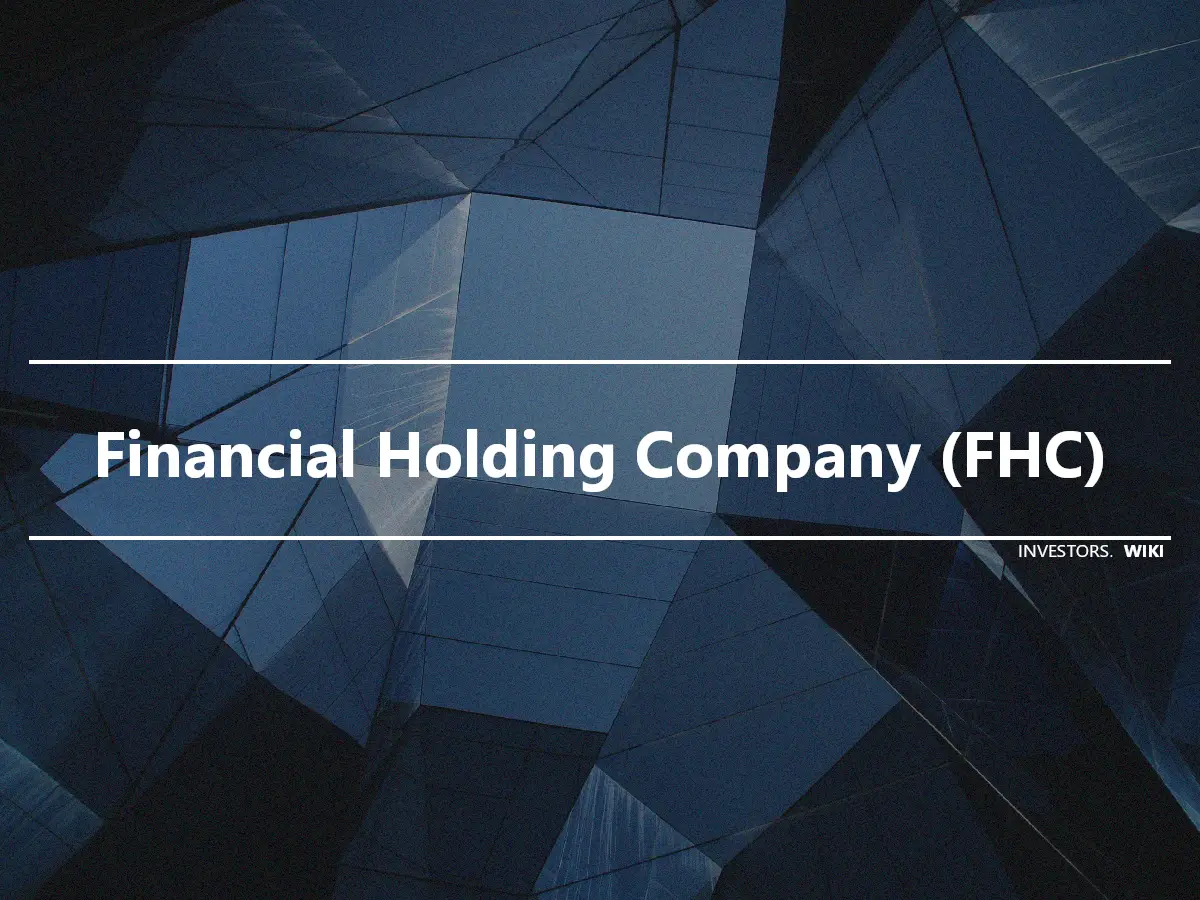 Financial Holding Company (FHC)
