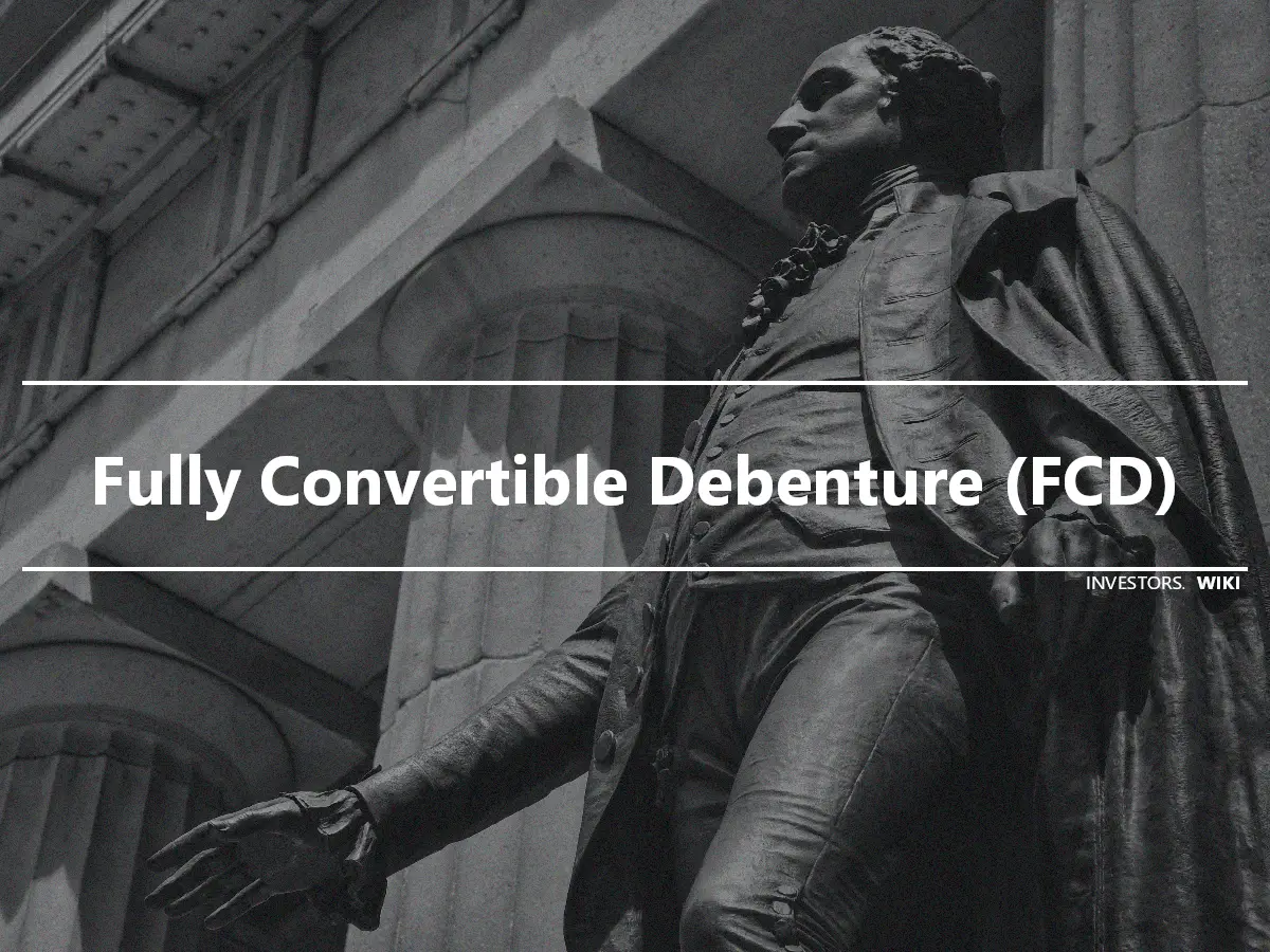 Fully Convertible Debenture (FCD)