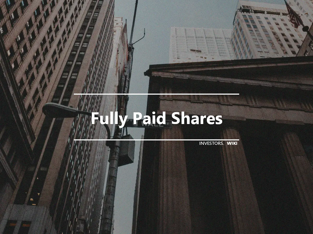 Fully Paid Shares