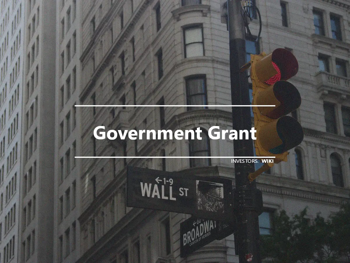 Government Grant