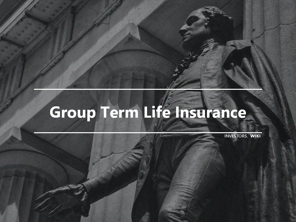 Group Term Life Insurance