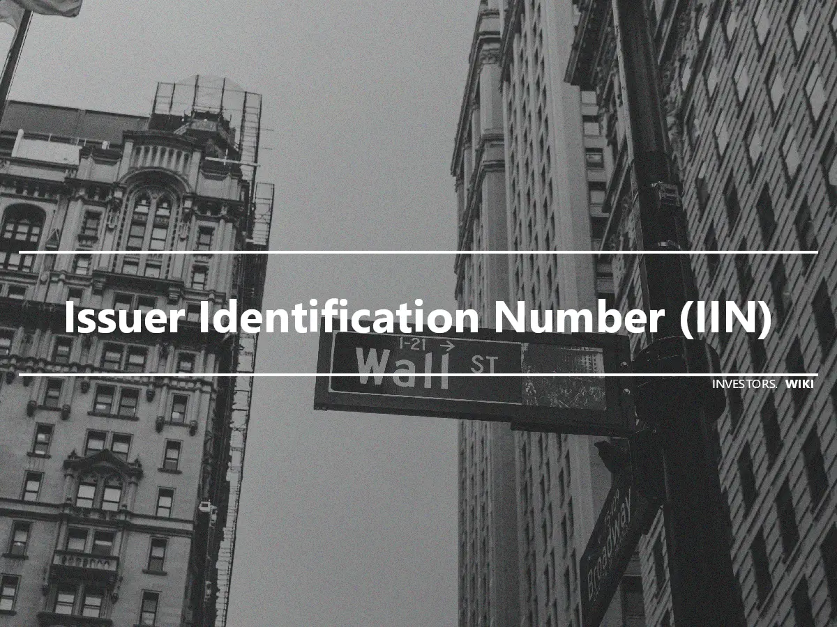 Issuer Identification Number (IIN)