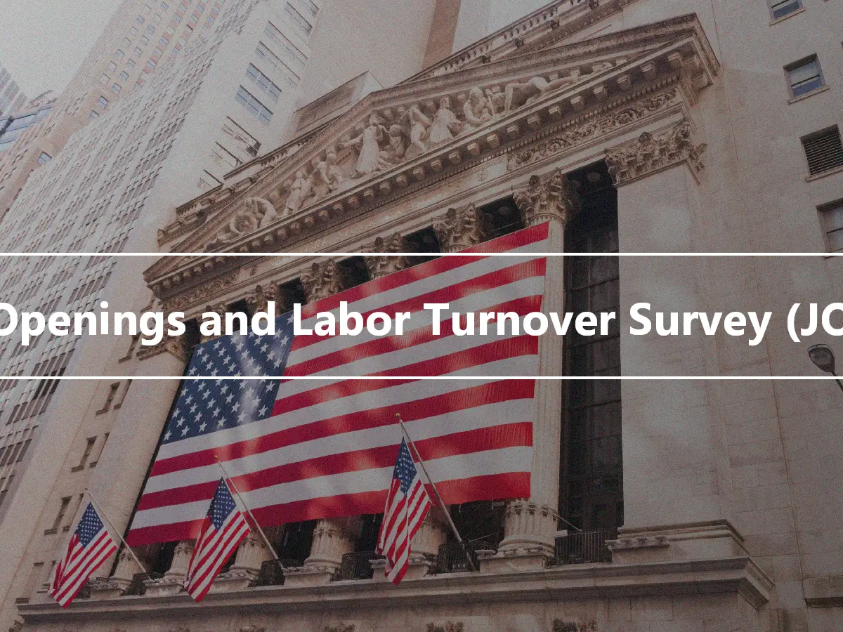 Job Openings and Labor Turnover Survey (JOLTS)