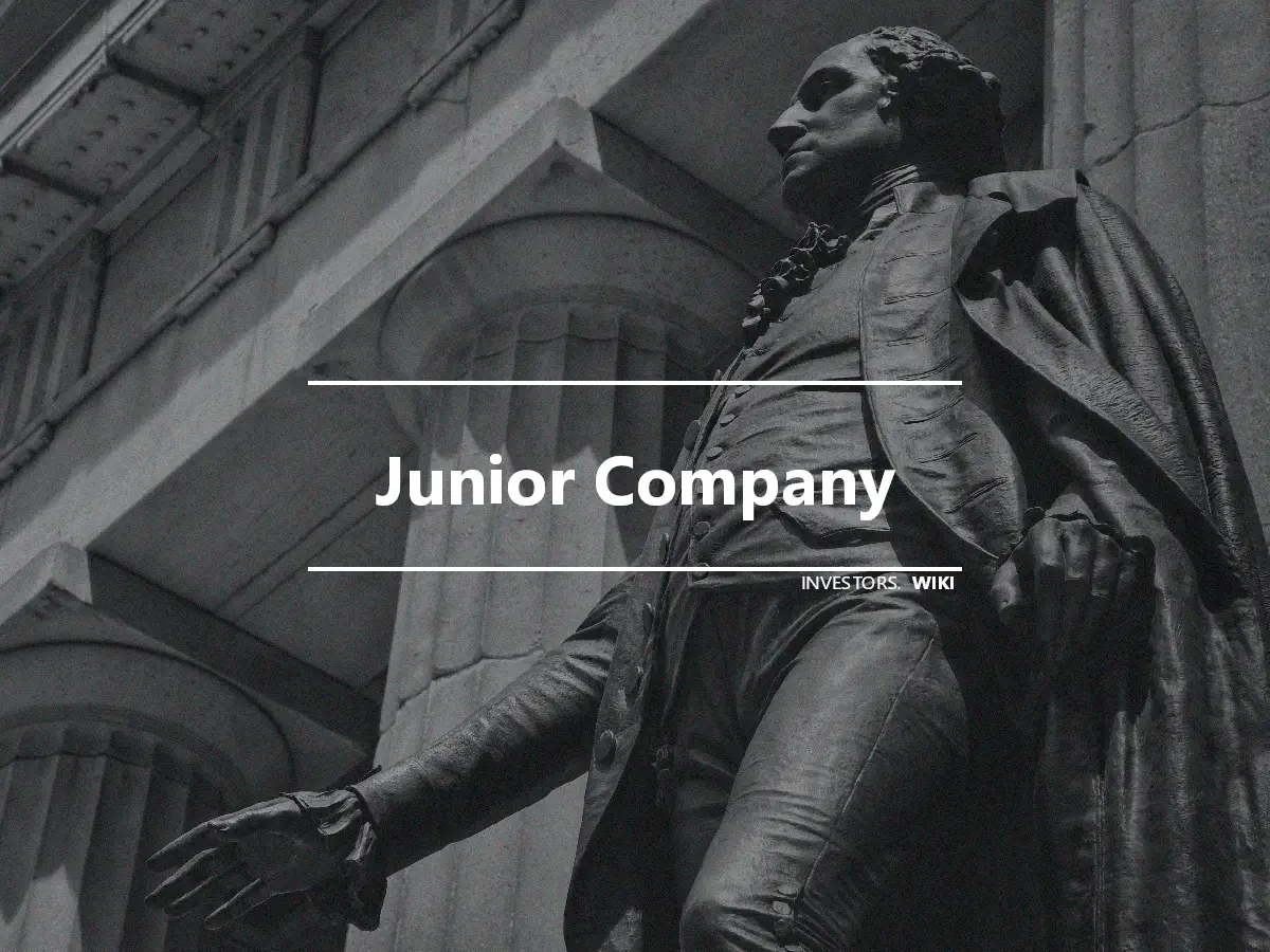 Junior Company