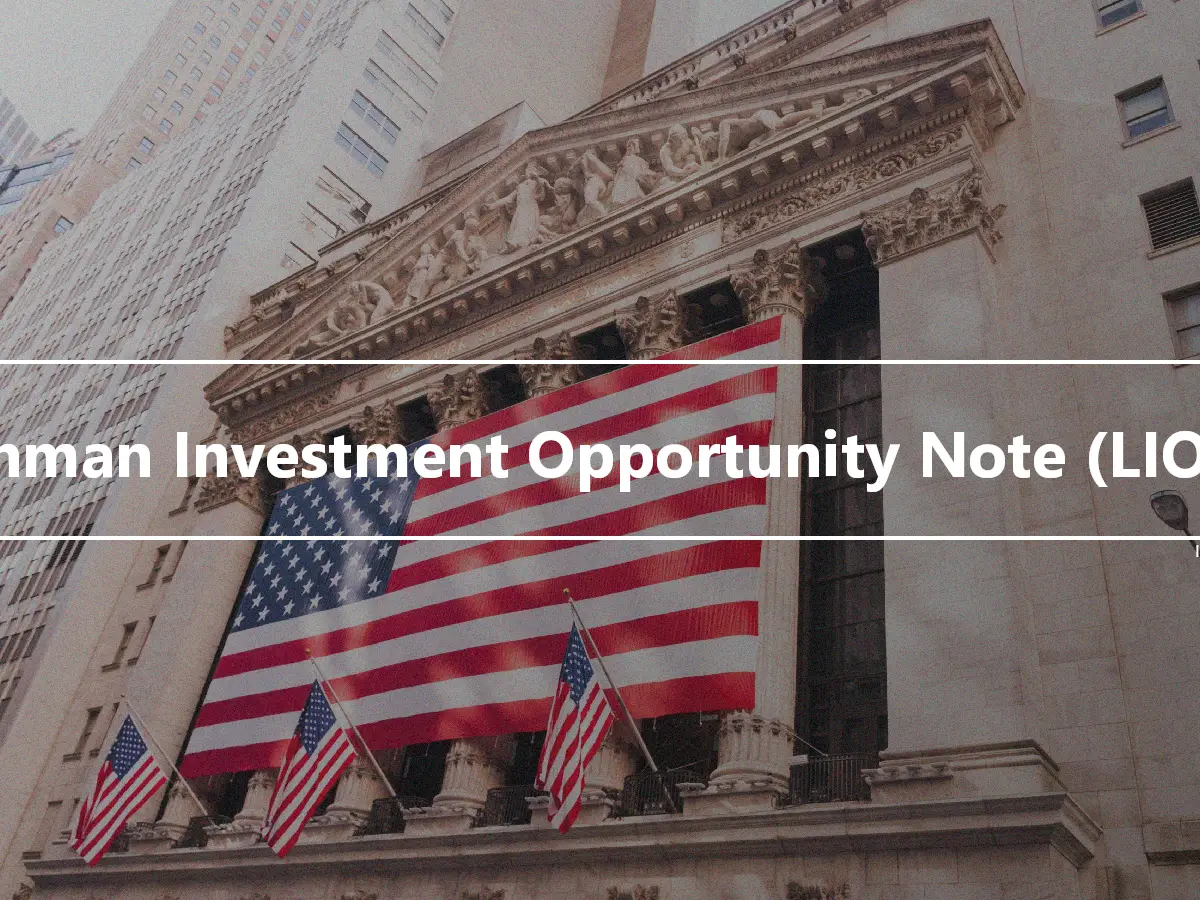 Lehman Investment Opportunity Note (LION)