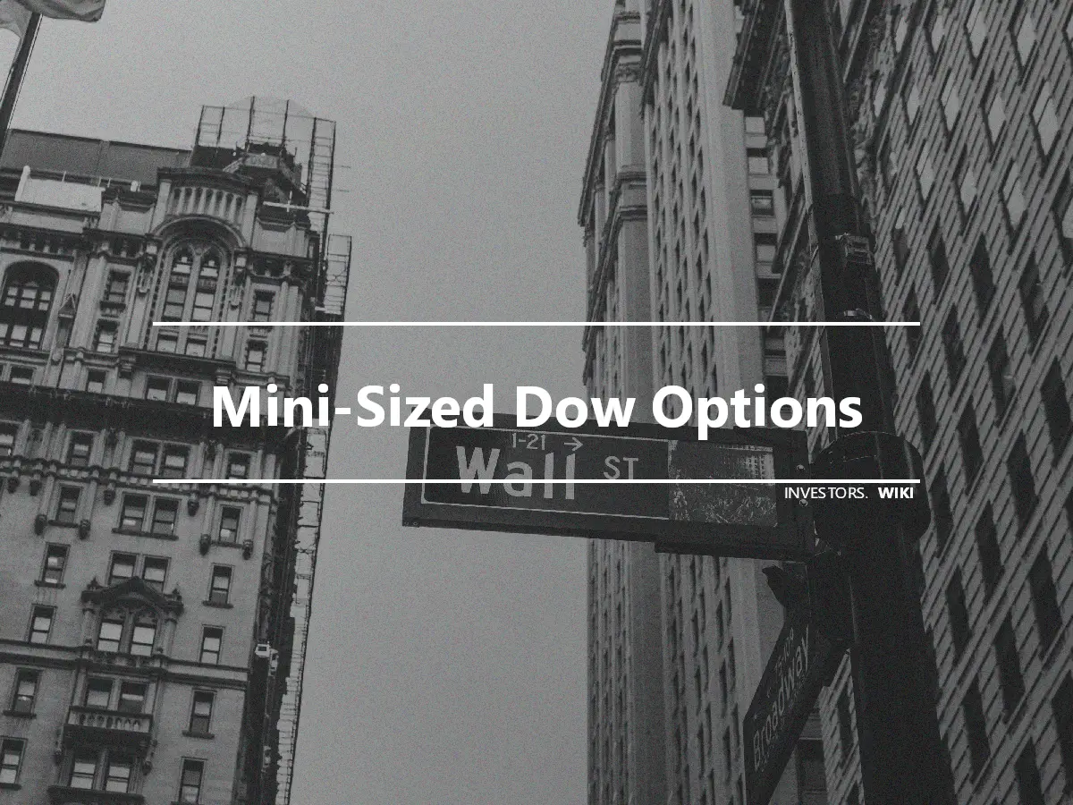 Mini-Sized Dow Options