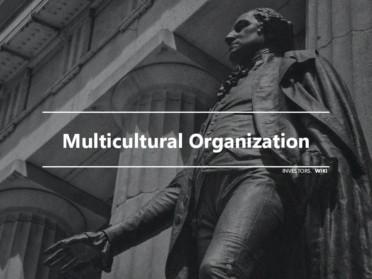 Multicultural Organization