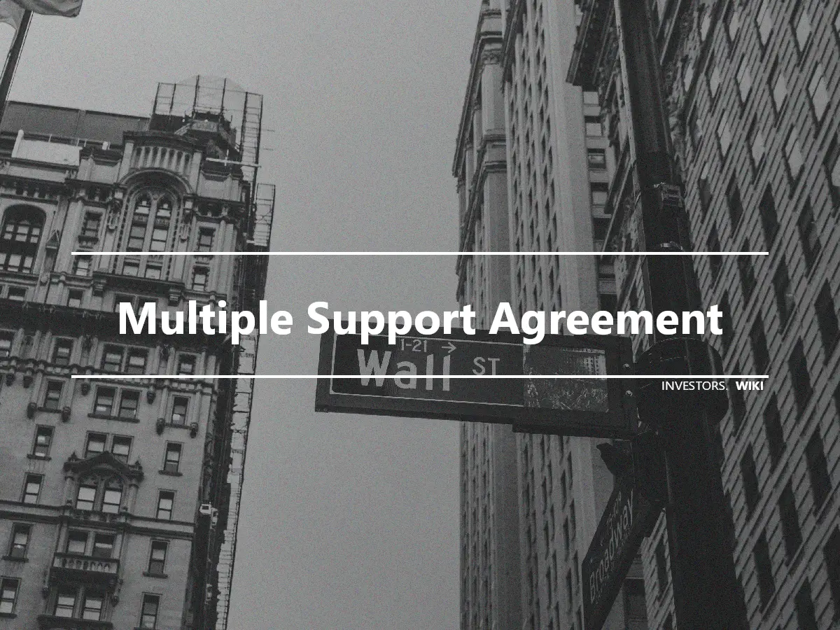 Multiple Support Agreement