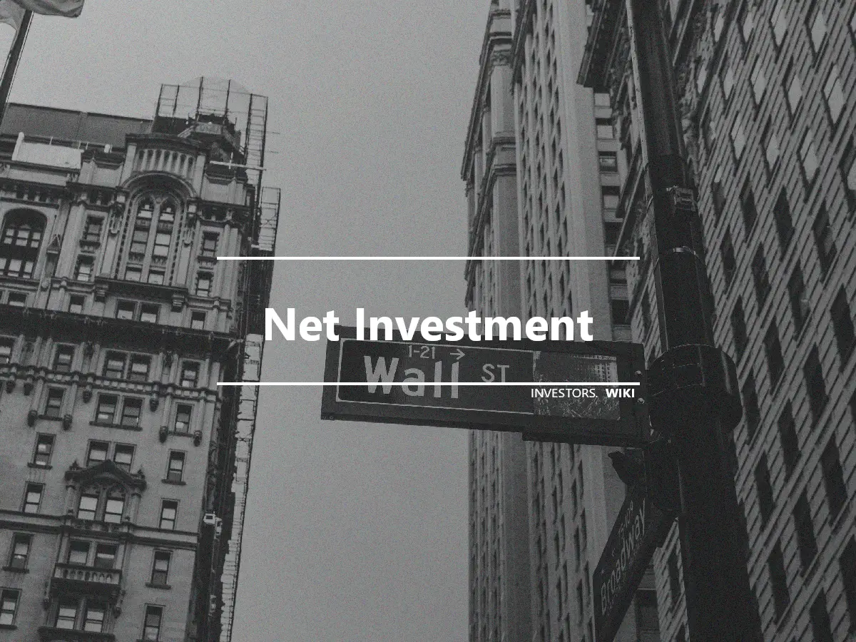 Net Investment
