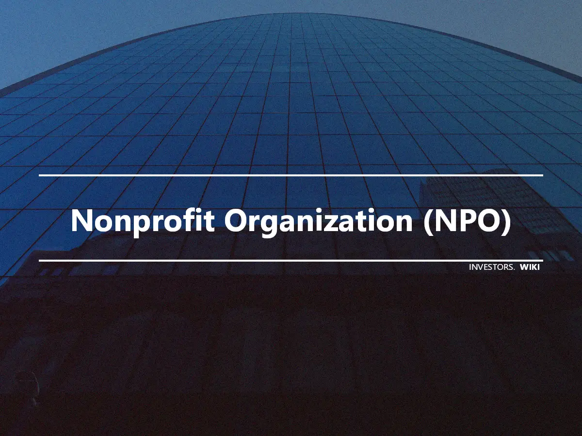 Nonprofit Organization (NPO)