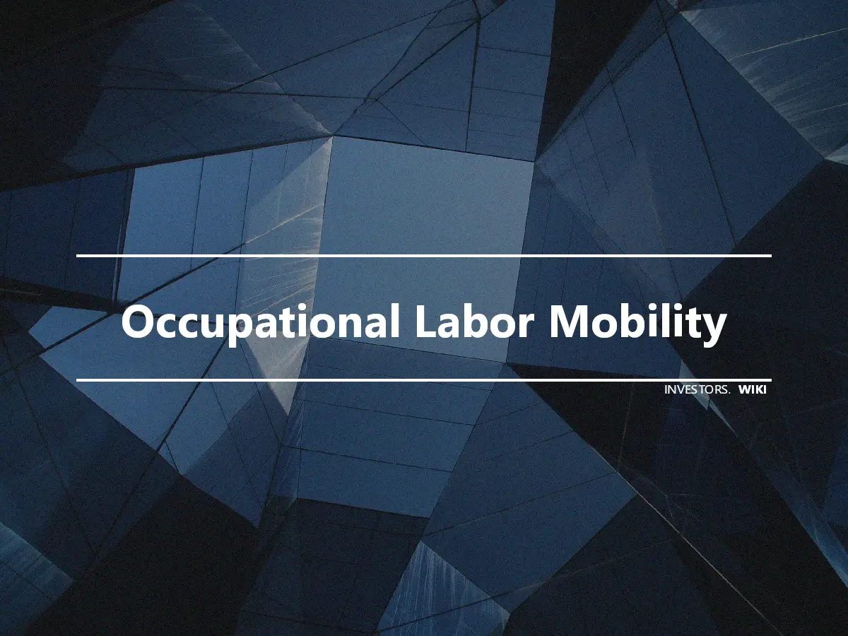 Occupational Labor Mobility