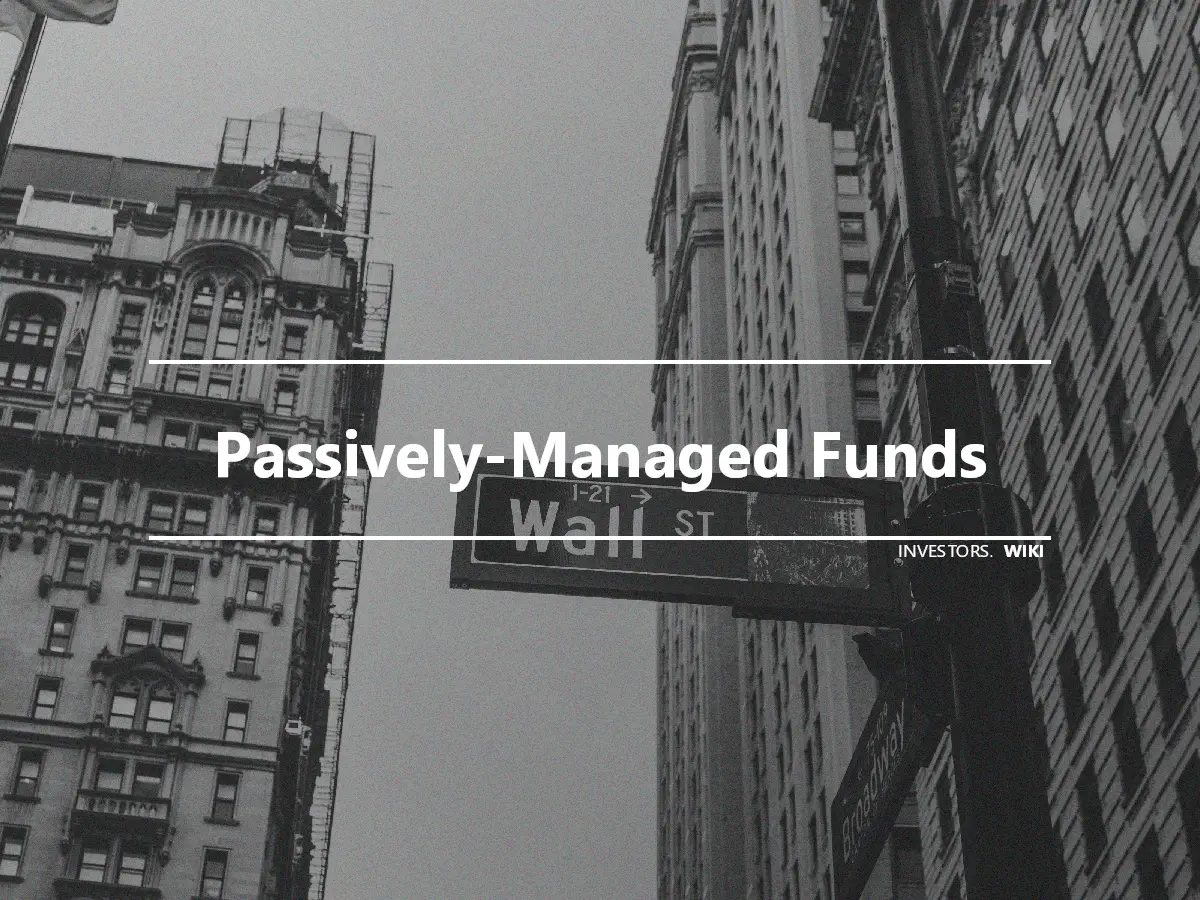 Passively-Managed Funds