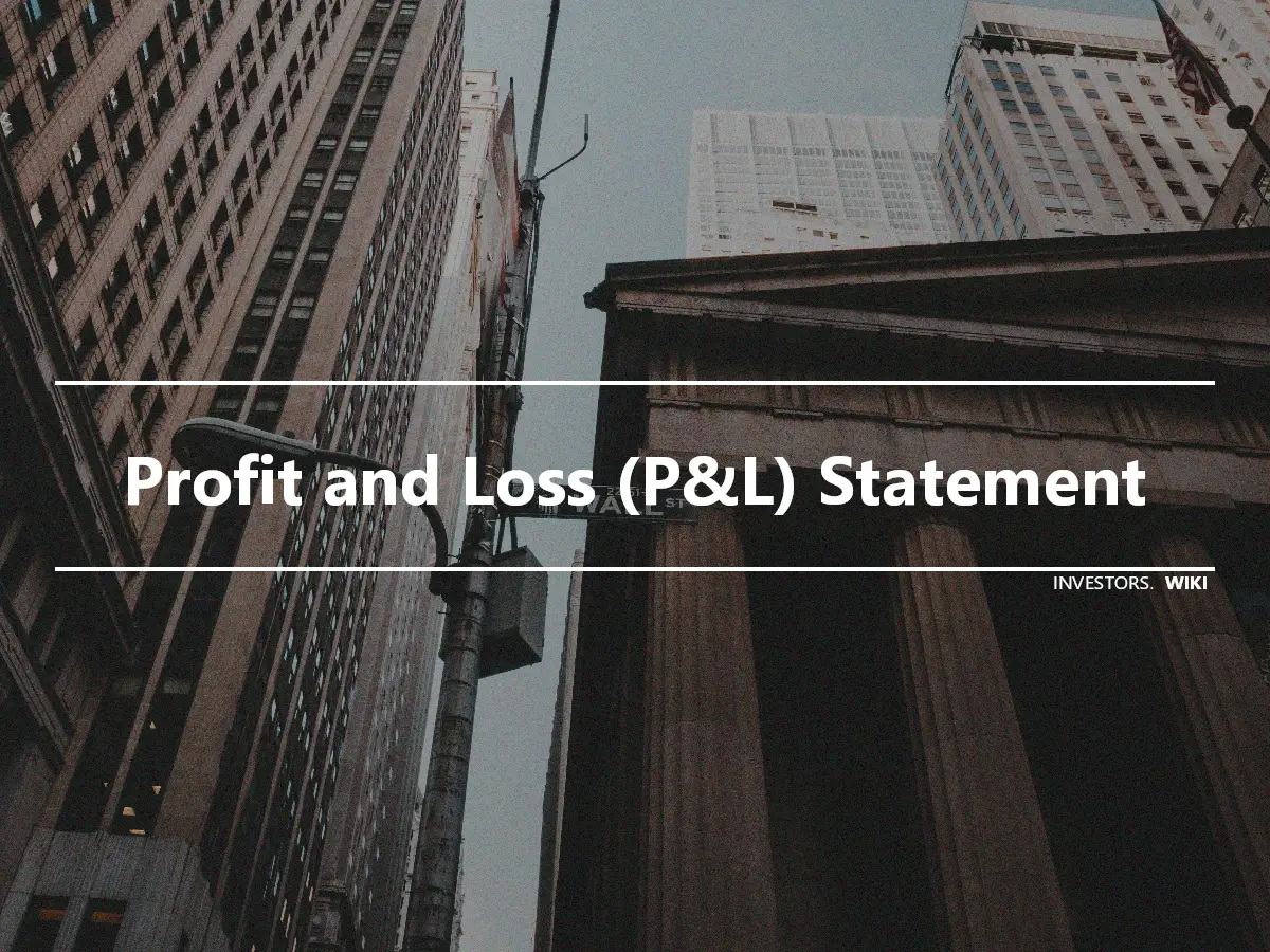 Profit and Loss (P&L) Statement