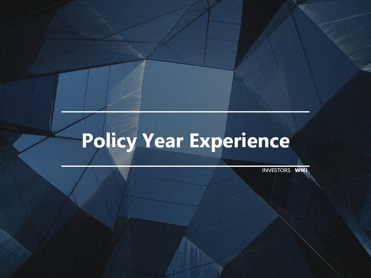 Policy Year Experience