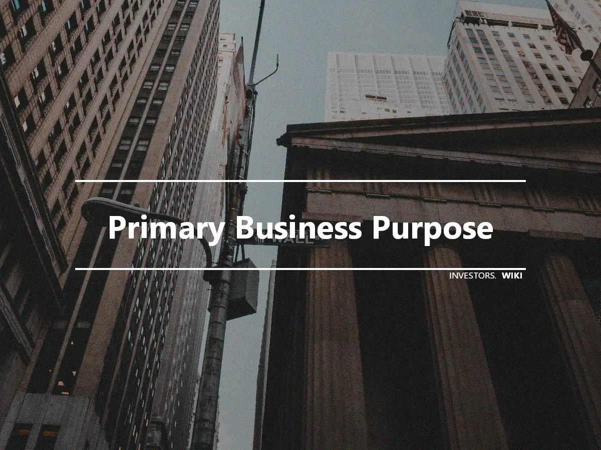 Primary Business Purpose