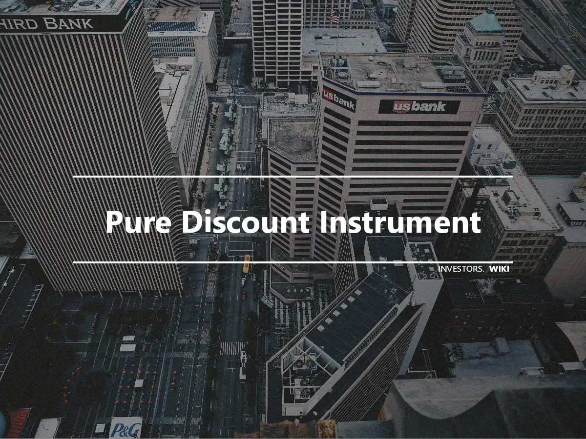 Pure Discount Instrument