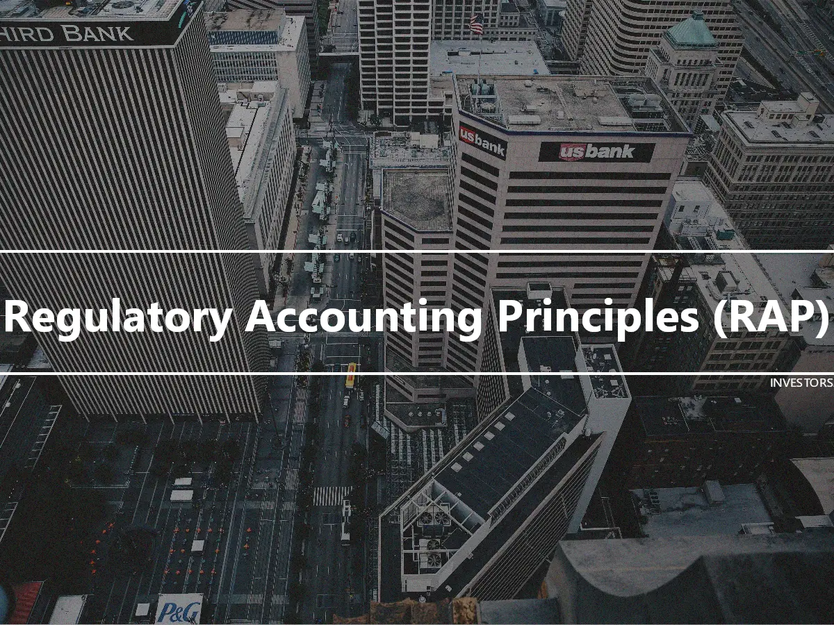 Regulatory Accounting Principles (RAP)