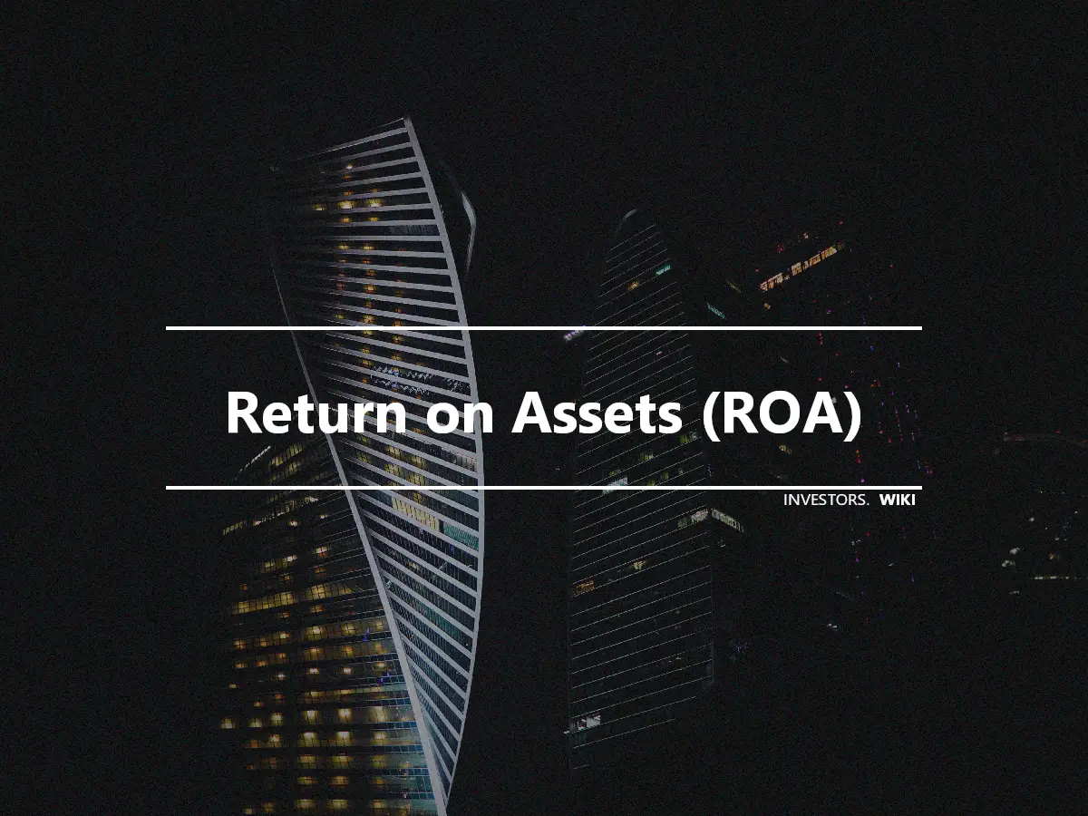 Return on Assets (ROA)