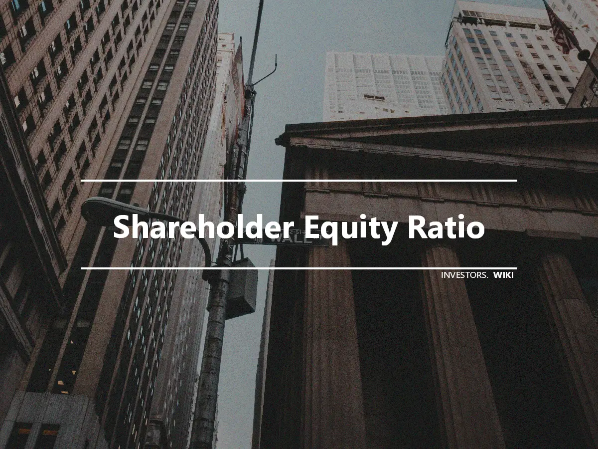 Shareholder Equity Ratio