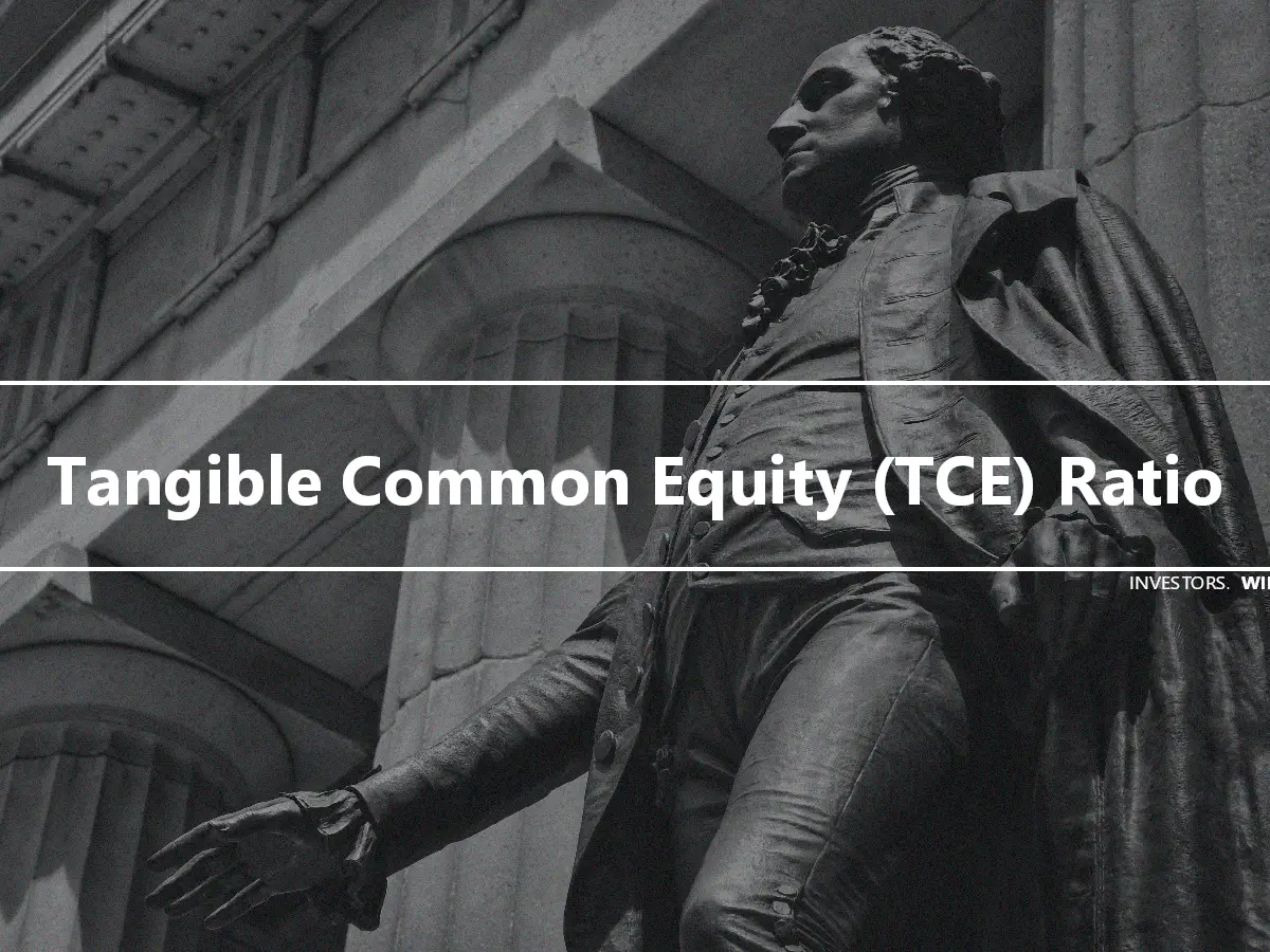 Tangible Common Equity (TCE) Ratio
