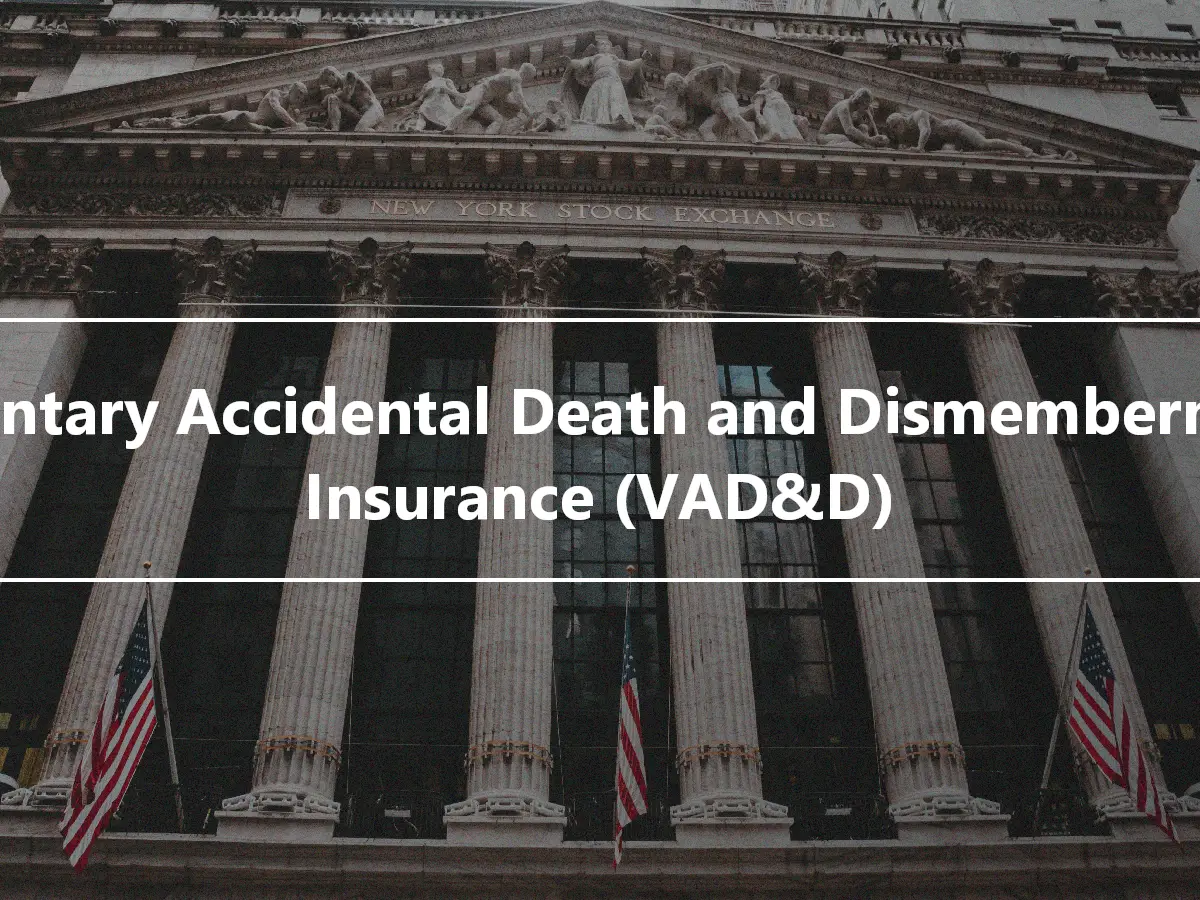 Voluntary Accidental Death and Dismemberment Insurance (VAD&D)