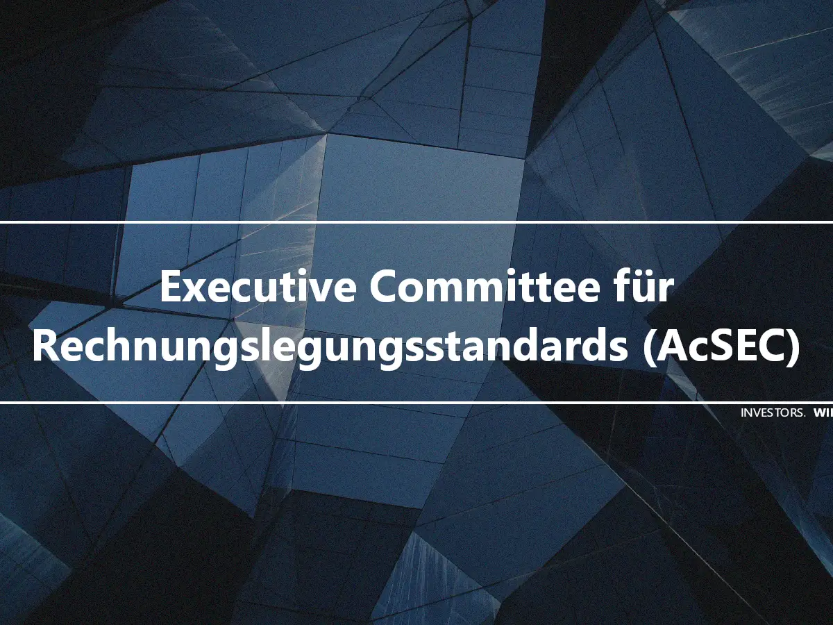 Executive Committee für Rechnungslegungsstandards (AcSEC)