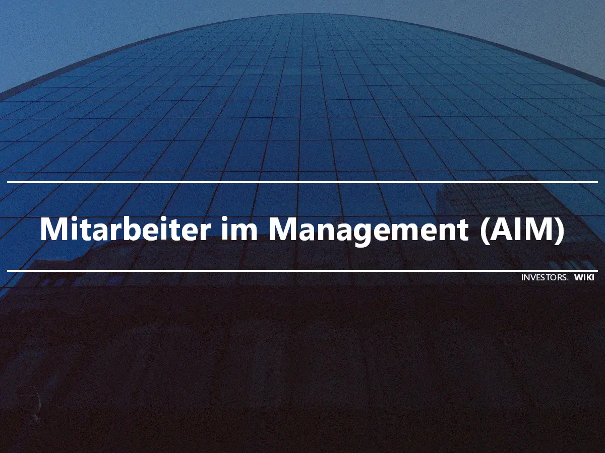 Mitarbeiter im Management (AIM)