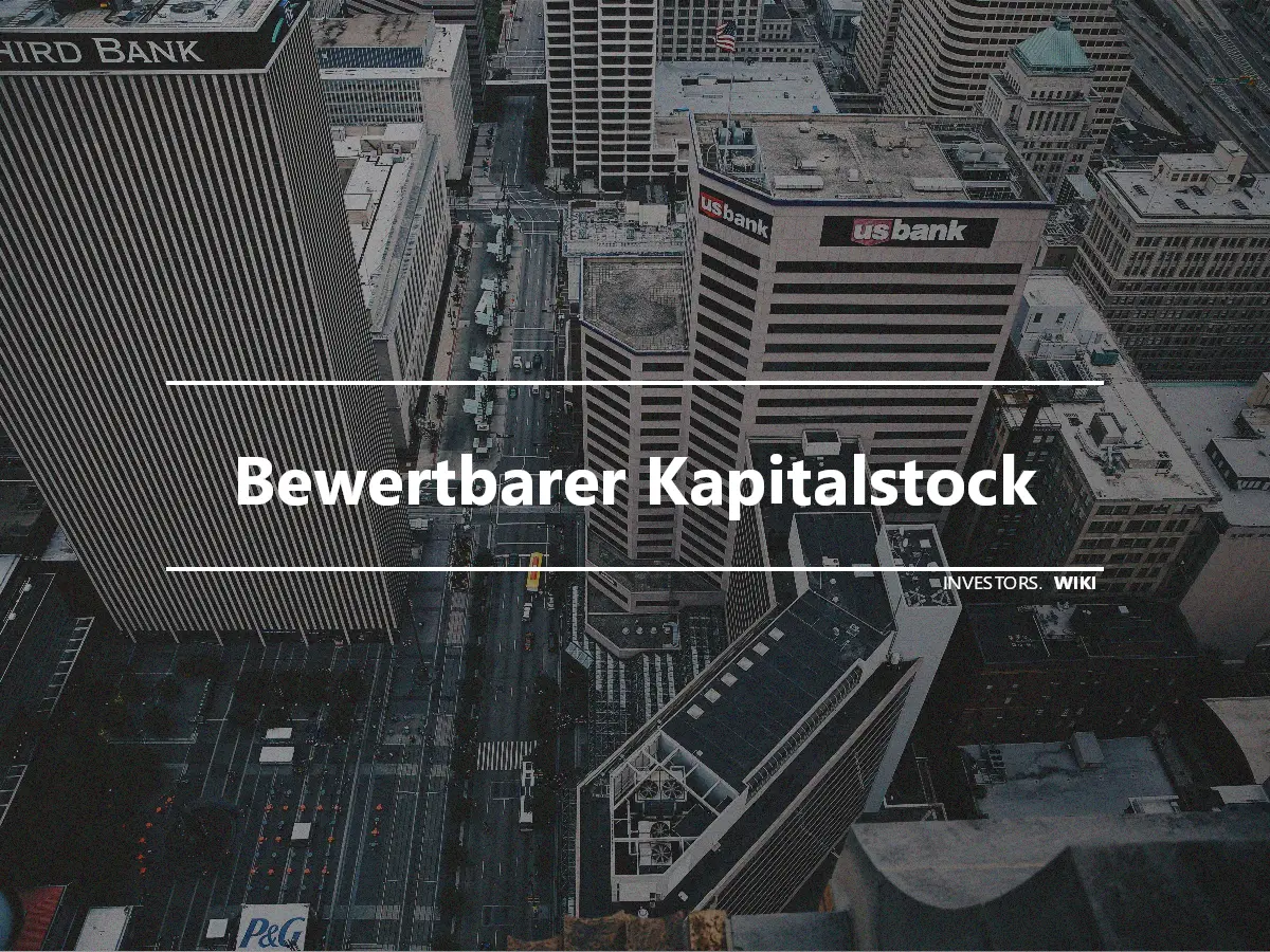 Bewertbarer Kapitalstock