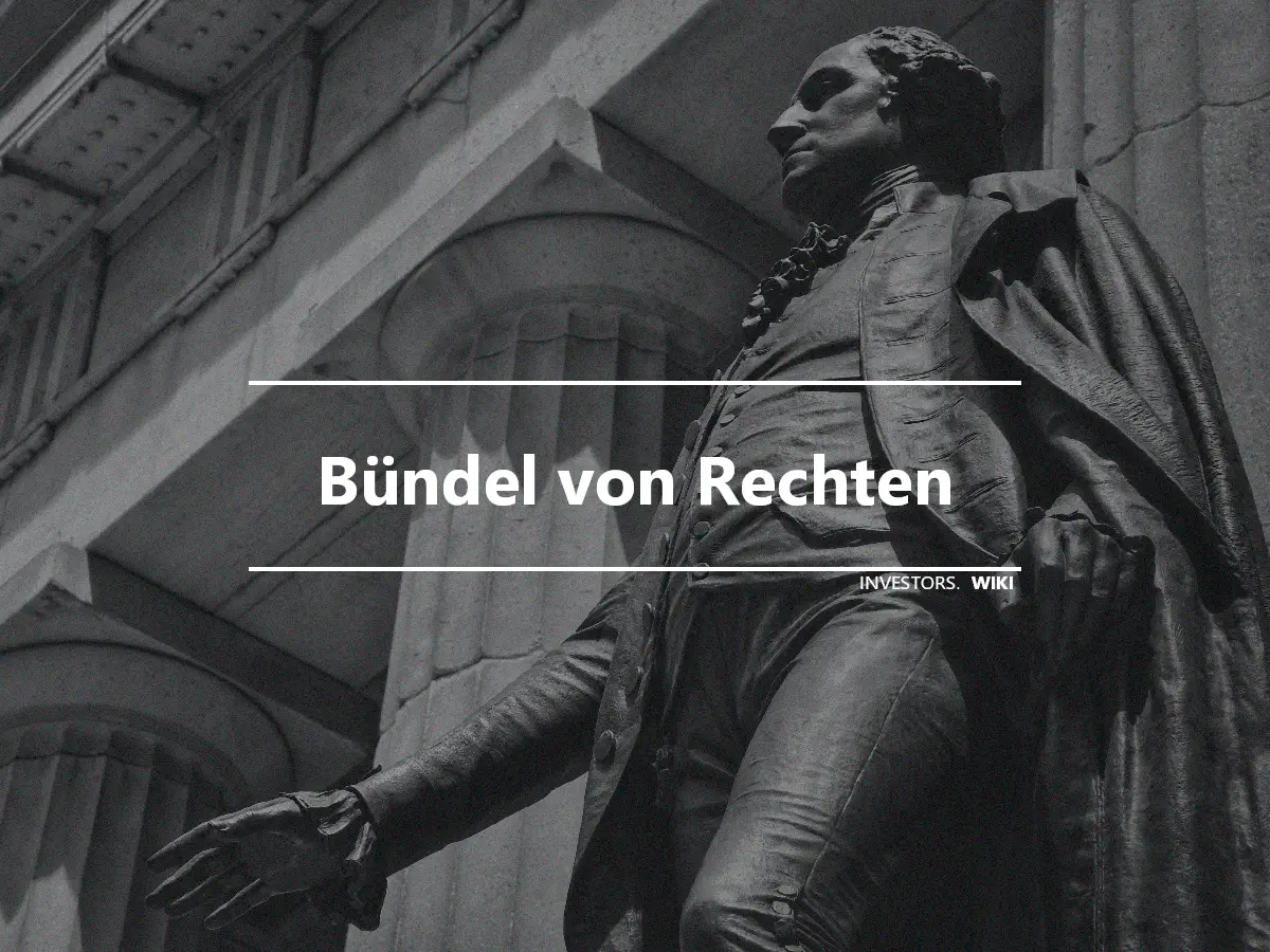 Bündel von Rechten