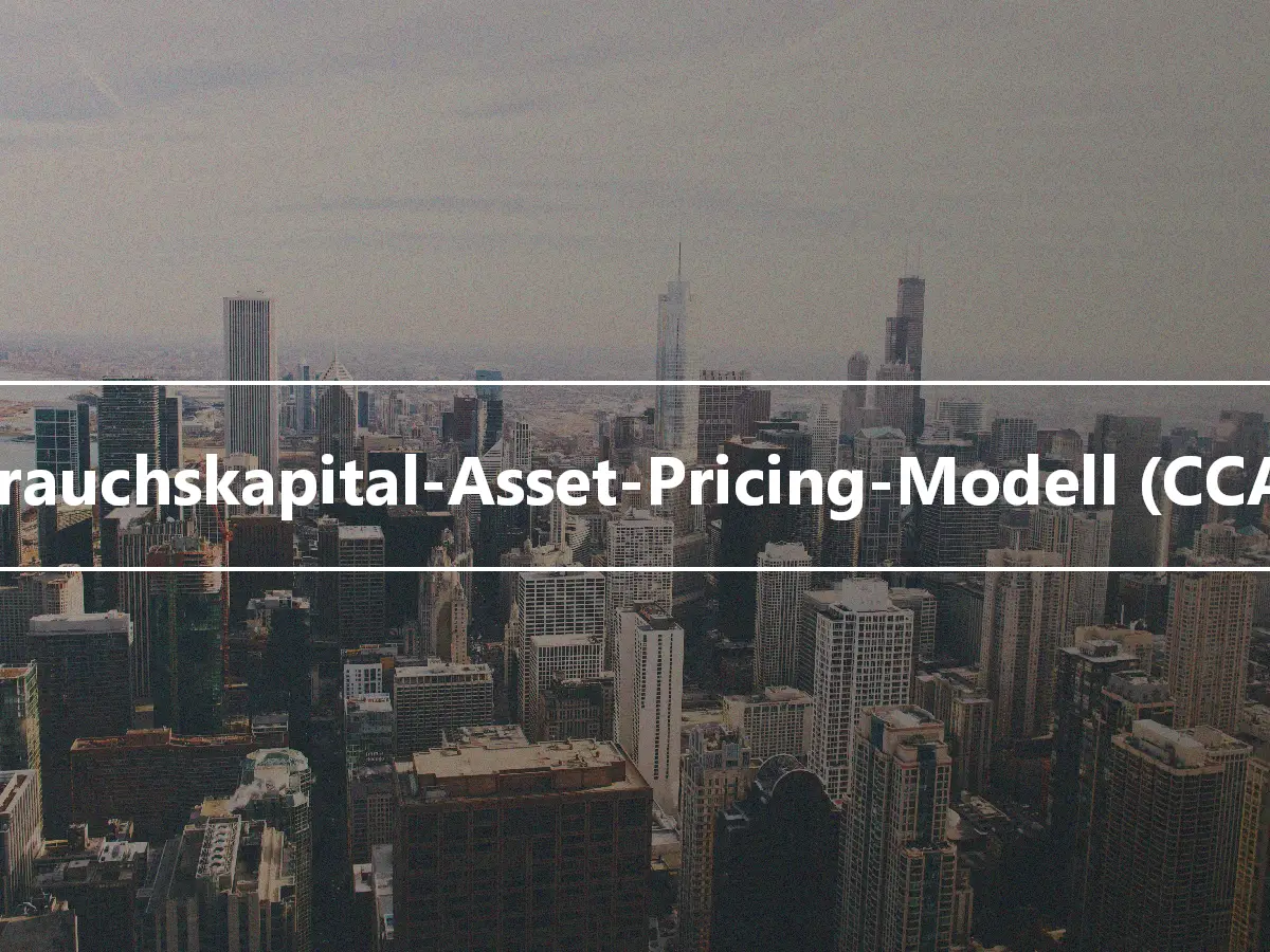 Verbrauchskapital-Asset-Pricing-Modell (CCAPM)