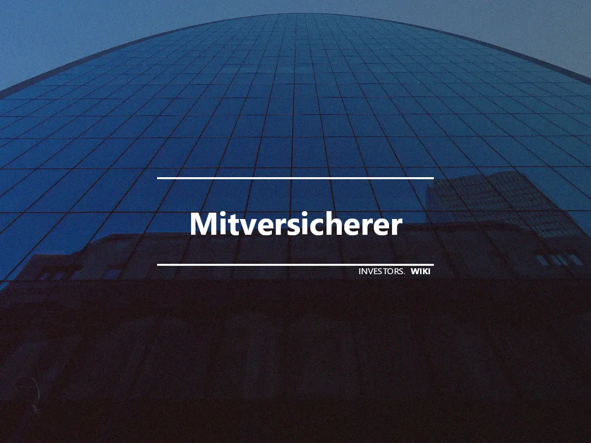 Mitversicherer