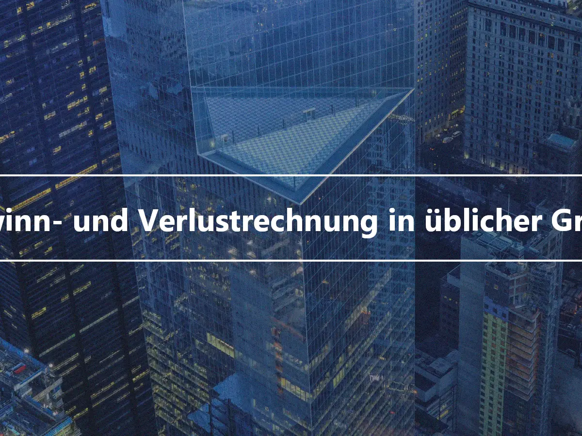 Gewinn- und Verlustrechnung in üblicher Größe