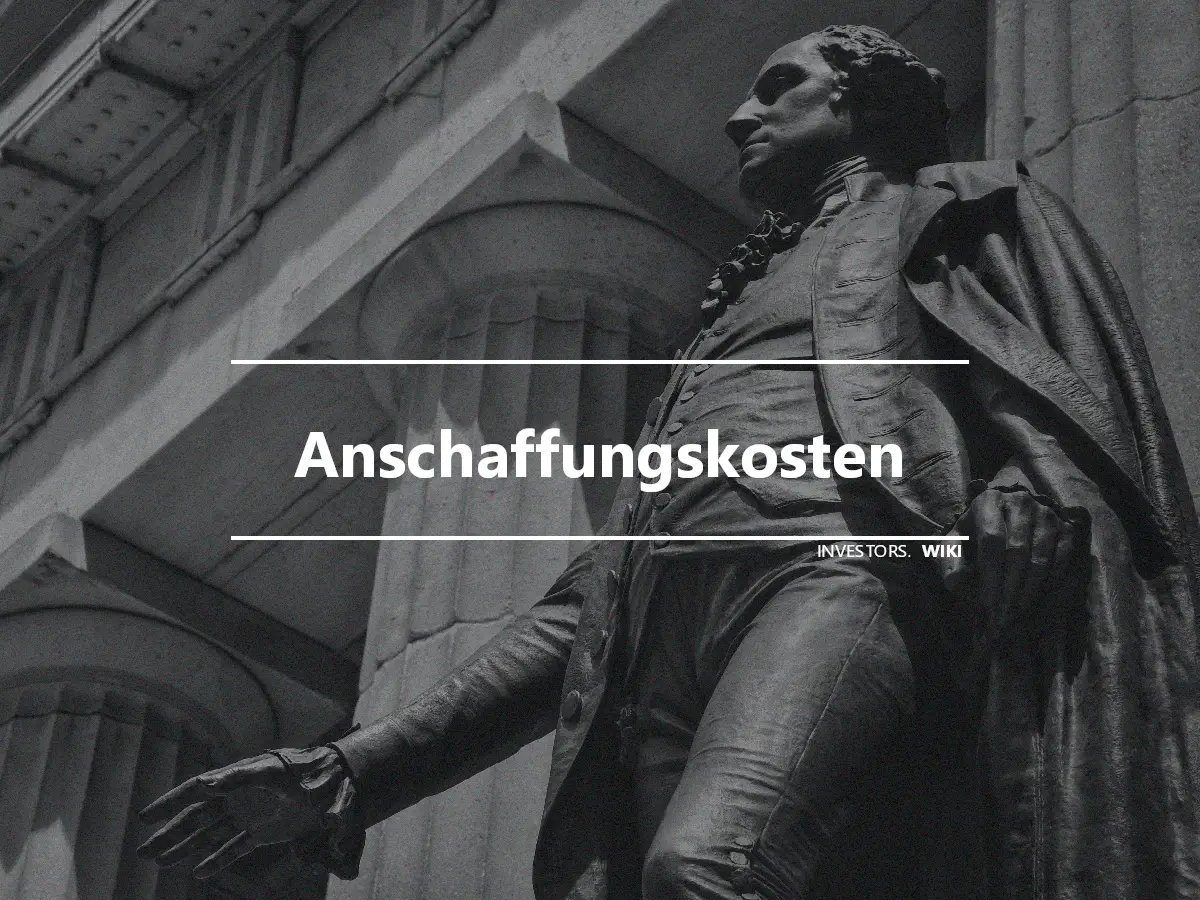 Anschaffungskosten