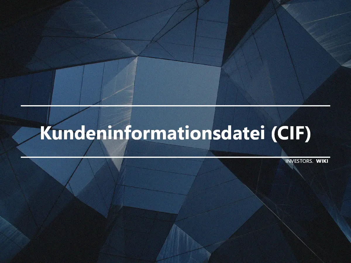 Kundeninformationsdatei (CIF)