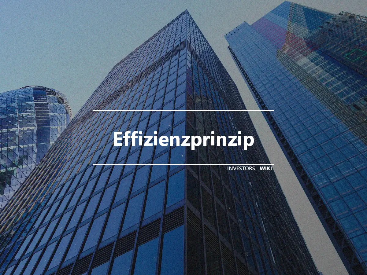 Effizienzprinzip