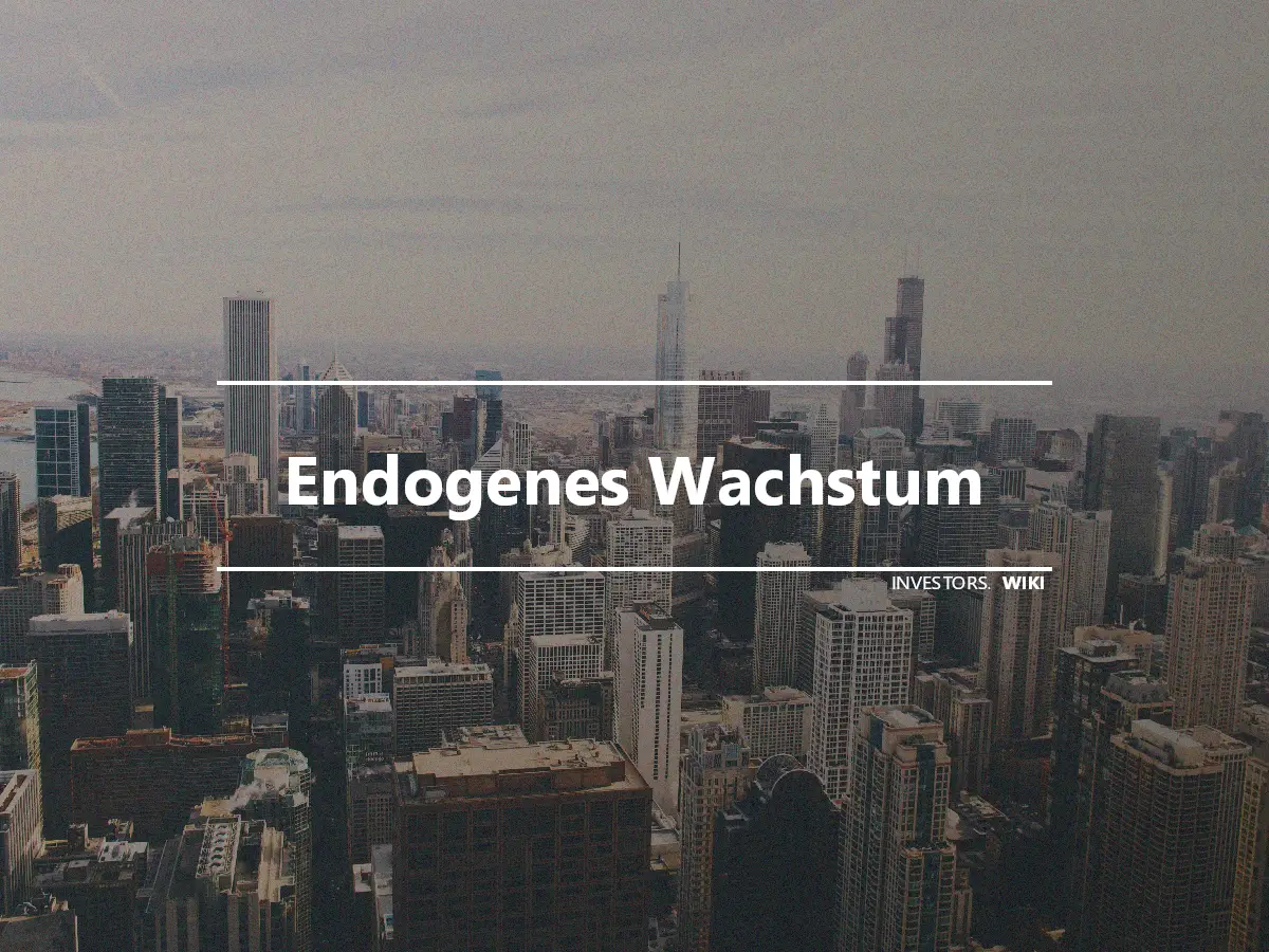 Endogenes Wachstum