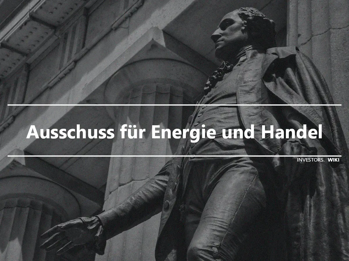 Ausschuss für Energie und Handel