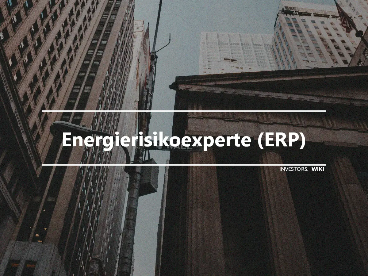 Energierisikoexperte (ERP)