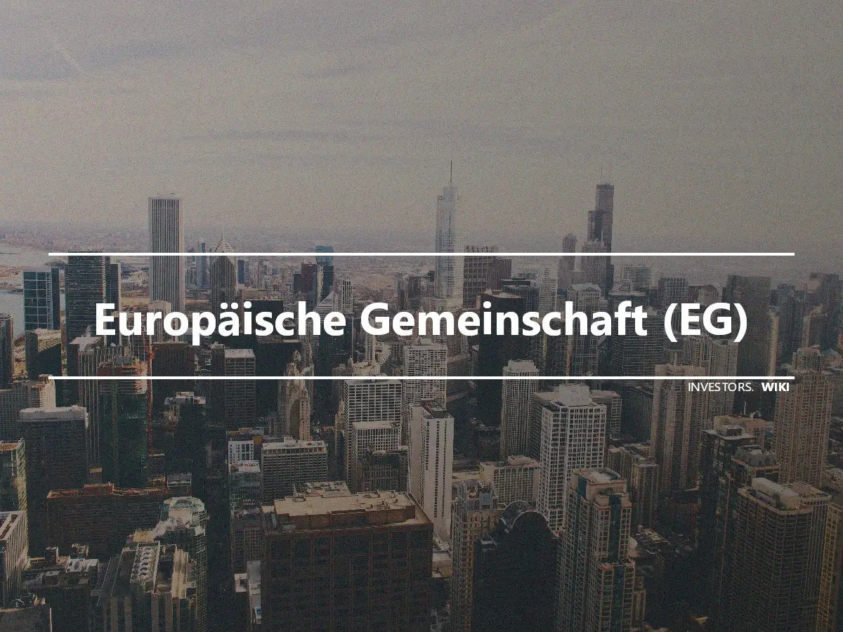 Europäische Gemeinschaft (EG)