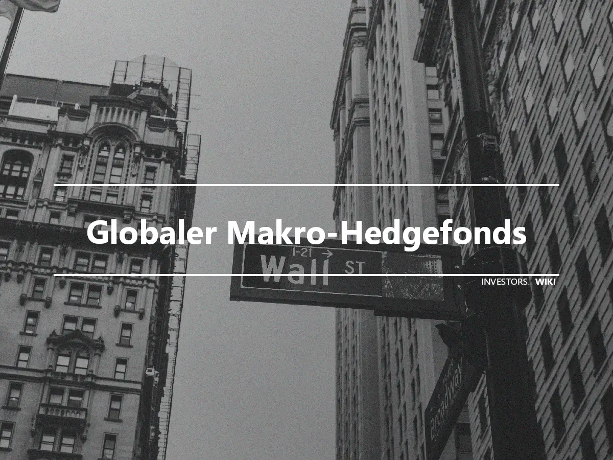 Globaler Makro-Hedgefonds