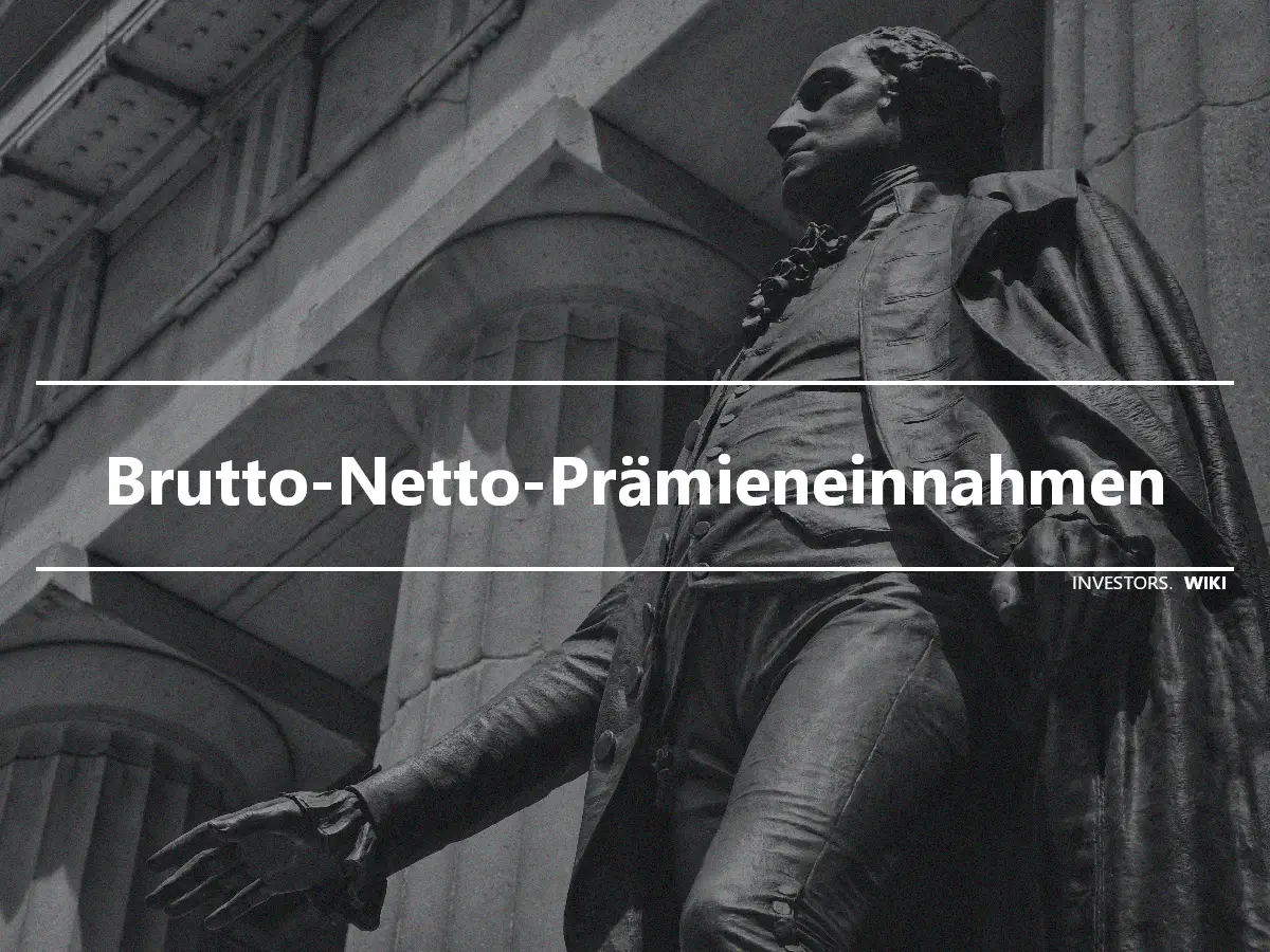 Brutto-Netto-Prämieneinnahmen